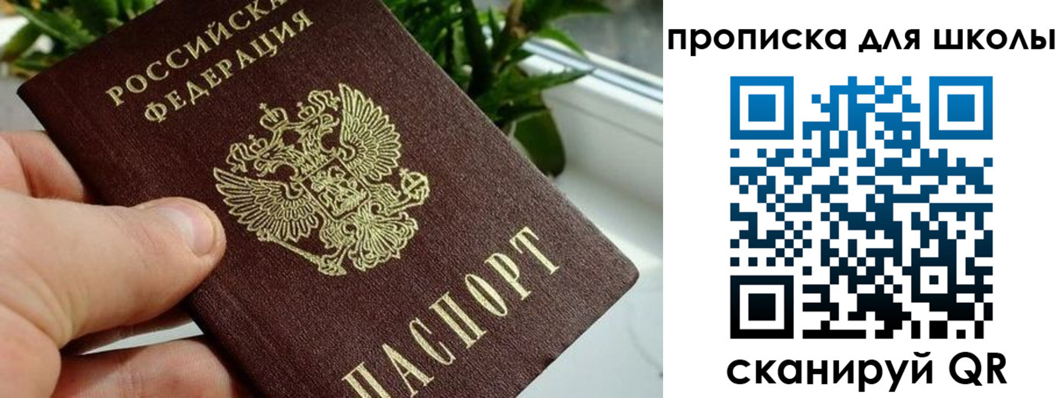 регистрация для дет. сада в Куртамыше